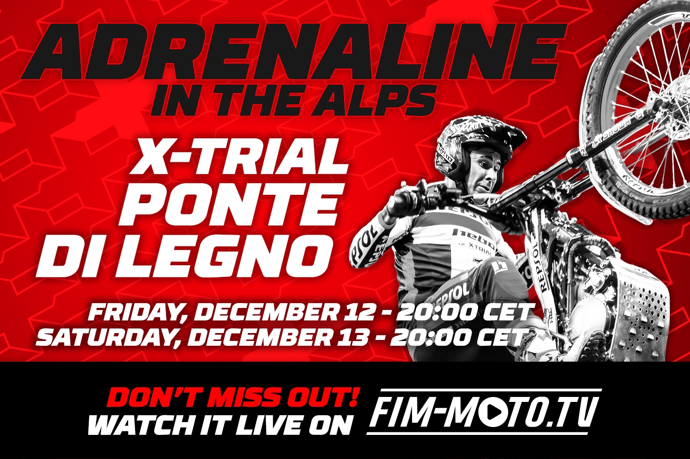 Adrenaline in the Alps Adrenaline in the Alps